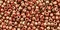 Toho 11/0 Round Japanese Seed Bead, TR11-1708, Gilded Marble Orange